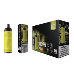 Puffwild Bang 18000 Puffs Vape descartável