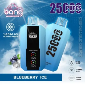 Puffwild Bang 25000 Puffs Vape na jedno použití