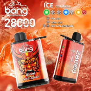 Puffwild Bang 28000 Puffs Vape jetable