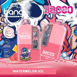 Puffwild Bang 32000 Puffs Vape na jedno použití