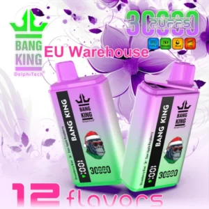 Puffwild Bang King 30000 Puffs Vape Desechable