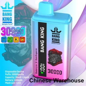 Puffwild Bang King 30000 Puffs Vape jetable