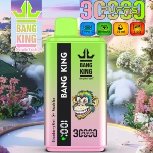 Puffwild Bang King 30000 Puffs Vape jetable