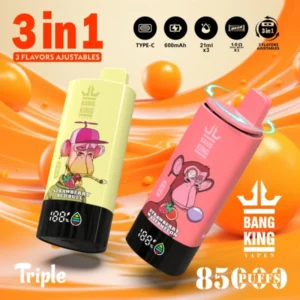 Puffwild Bang König 85000 Puffs Einweg Vape