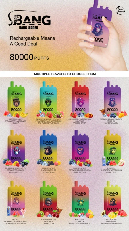 Bang Leader 80000 Puffs 3-in-1 Vape: The Cheap, Flavor-Packed EU Vaping Solution with Free Shipping 3 Bang Leader 80000