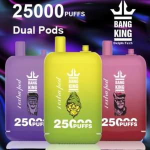 Buy 1 Bang King 25k Puffs Cheap Vape Dual Pod Disposable Electronic Cigarette 2025 Vaper Fast Delivery