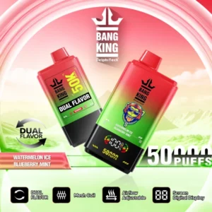 Koop 1 Bang King 50k Puffs 2 in 1 Vape 50000 Wegwerp elektronische sigaret Vaper 2025 Snelle levering