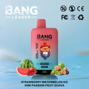 Acquista 1 Bang Leader 45k Puffs 2 in 1 Vape doppio gusto sigaretta elettronica usa e getta Consegna veloce 2025 Vaper