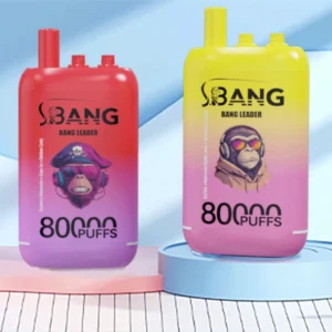 Koop 1 Bang Leader 80k Puffs 3 in 1 Vape 80000 Wegwerp elektronische sigaret Vaper 2025 Snelle levering