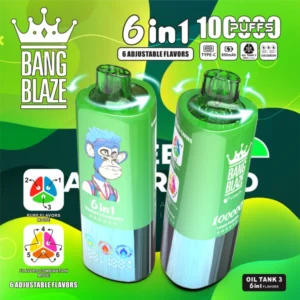 Bang Blaze 100k Puffs 6 in 1 Big Puff Vape jetable 2025 Nouveau