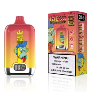 Bang King 15000 Puffs 15k Smart Screen Disposable Vape Shop Online Wholesale