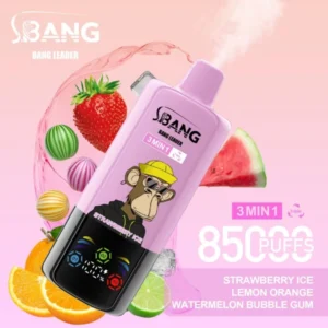 Bang Leader 85000 Puffs 85k 3 in 1 Big Puff Disposable Vape Free Shipping