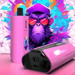 Puffwild Bnag King 30000 Pro Puffs Disposable Vape