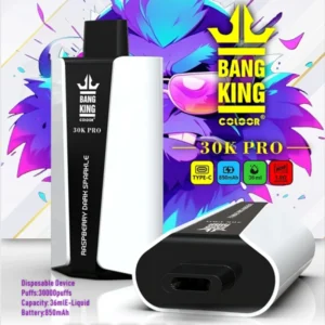 Puffwild Bnag King 30000 Pro Puffs Vape na jedno použití