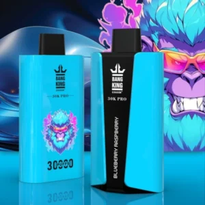 Puffwild Bnag King 30000 Pro Puffs Disposable Vape