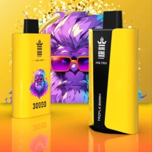 Puffwild Bnag King 30000 Pro Puffs Disposable Vape