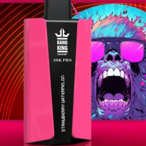 Puffwild Bnag King 30000 Pro Puffs Disposable Vape