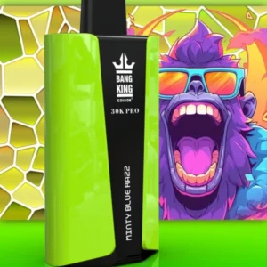 Puffwild Bnag King 30000 Pro Puffs Disposable Vape