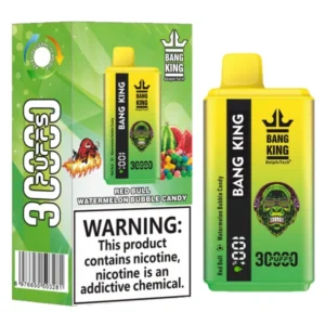 Singolo Vape 30000 Negozio al dettaglio Acquista 2 pezzi campione personale Vaper Bang King