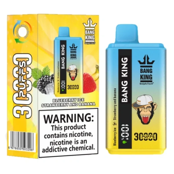 Vape simples 30000 Loja de retalho Comprar 2 peças Amostra Pessoal Vaper Bang King