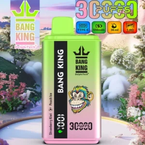 Singolo Vape 30000 Negozio al dettaglio Acquista 2 pezzi campione personale Vaper Bang King