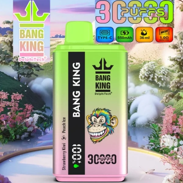 Puffwild Sample Vape 30000 Puffs Bang King 30k