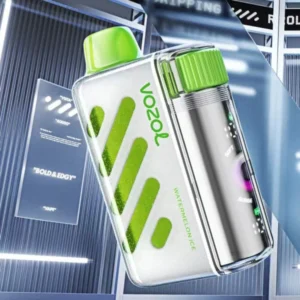Vozol Vista 40000 Puffs Dual Mode Smart Screen Vape Store près de chez moi
