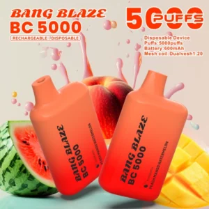 Puffwild Bang Blaze BC5000 Puffs eldobható vape