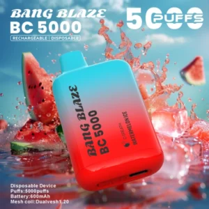 Bang Blaze BC5000 Puffs Vape Desechable Barato Caliente 2025 Venta al por mayor 12 Puffwild Bang Blaze BC5000 Puffs Vape Desechable