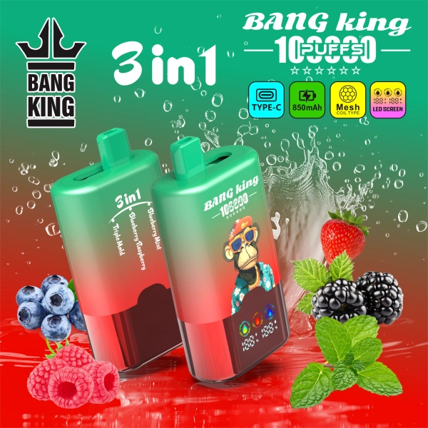 Puffwild Bang King 100000 Puffs Vape Desechable