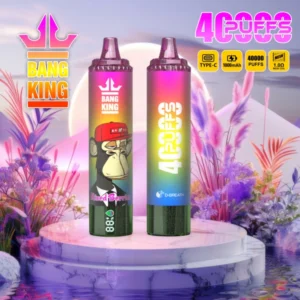 Puffwild Bang King 40000 Puffs Wegwerpvape