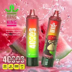 Puffwild Bang King 40000 Puffs Wegwerpvape