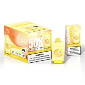 Puffwild Hifancy 50000 Puffs Wegwerpvape
