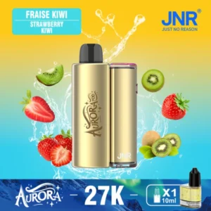 Puffwild JNR 27000 boccate di vapore monouso