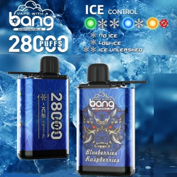 Puffwild Single Vape 28000 Kostenloser Versand Einzelhandelsgeschäft Probieren Sie Geschmacksprobe Bestellen Bang