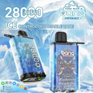 Puffwild Single Vape 28000 Spedizione gratuita Negozio al dettaglio Prova Campione Ordina Bang