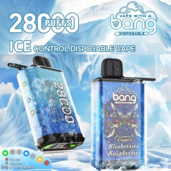 Puffwild Single Vape 28000 Kostenloser Versand Einzelhandelsgeschäft Probieren Sie Geschmacksprobe Bestellen Bang