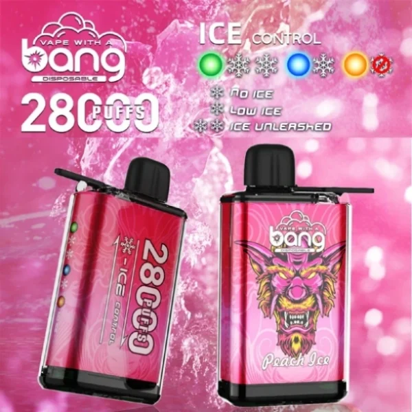 Puffwild Single Vape 28000 Frete grátis Loja de varejo Experimente amostra de sabor Encomende Bang