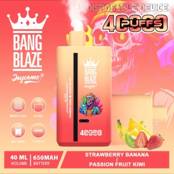 Puffwild Single Vape 40000 Maloobchod Koupit 2 kusy Minimální objednávka Bang Blaze