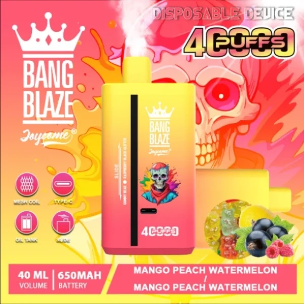 Puffwild Single Vape 40000 Maloobchod Koupit 2 kusy Minimální objednávka Bang Blaze