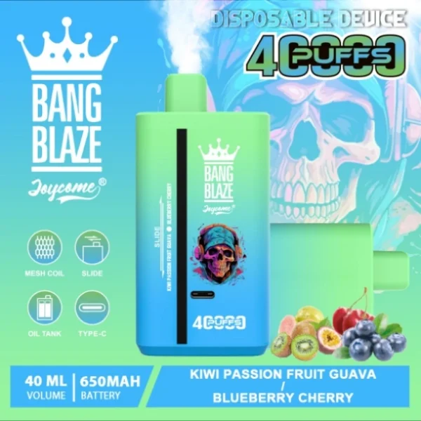 Puffwild Single Vape 40000 Maloobchod Koupit 2 kusy Minimální objednávka Bang Blaze