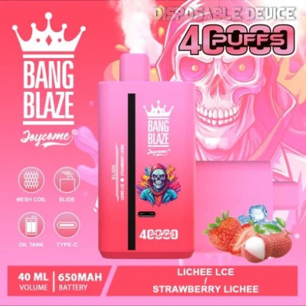 Puffwild Single Vape 40000 Maloobchod Koupit 2 kusy Minimální objednávka Bang Blaze