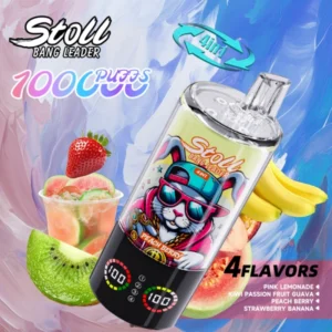 Puff 100k Bang Leader Stoll 100000 Puffs 4 in 1 Disposable Vape Wholesale Free Shipping 12 Puffwild Bang Leader Stoll 100000 boccate di vapore monouso