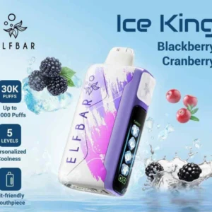 EU Vape ELFBAR Ice King 30000 Puffs 30k Disposable Electronic Cigarette 5 Levels Adjustable Coolness 10 Puffwild ELFBAR Ice King 30000 boccate di vapore monouso