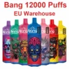 EU Vape Bang 12000 Puffs 3 bis 7 Arbeitstage Schnelle Lieferung Frei Steuer