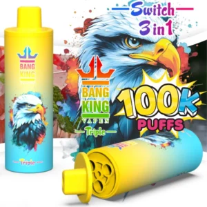 Bang King 100k Puffs Triple Flavors 3 in 1 Disposable Vape Wholesale 100000 Puff Vaper