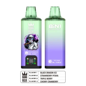 Bang Box 200k Puffs 8 in 1 Aromen Disposable Vape mit 4 Öltank kostenloser Versand