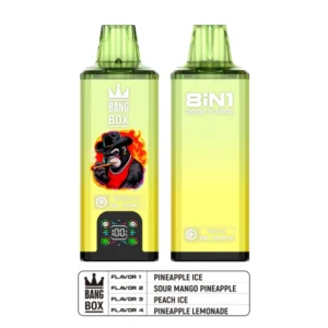 Bang Box 200k Puffs 8 in 1 Aromen Disposable Vape mit 4 Öltank kostenloser Versand