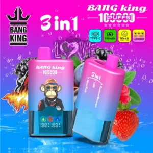 Bang King 100k Puffs 3 in 1 Best Disposable Vape Shop Free Shipping