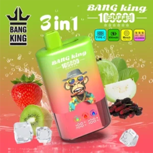 Bang King 100k Puffs 3 in 1 Best Disposable Vape Shop Free Shipping